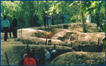 Trenches meander through the woods